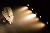 5 Mini LED Track Spot light FY-X for Showcase