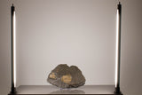 Jewelry Showcase LED Pole light model WF-42 4000K