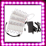 Magenta Pink Super Bright S5630 series LED Light Modules