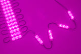 Magenta Pink Super Bright S5630 series LED Light Modules