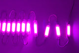 Pink Ultra COB series LED Light Modules - LED Updates