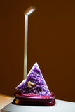 Jewelry LED Pole light Model FY-38