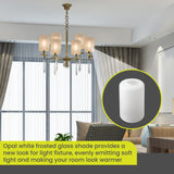 3 Pack frosted seeded cylinder glass shade for light fixture