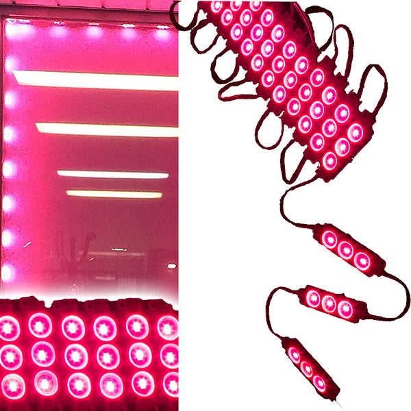 Magenta Storefront Super Bright 5630 series LED Light Modules