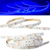 24v Premium Super Bright Series Blue color LED strip light