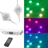 Chase Effect Multi-color Pixel point trim light Series round module