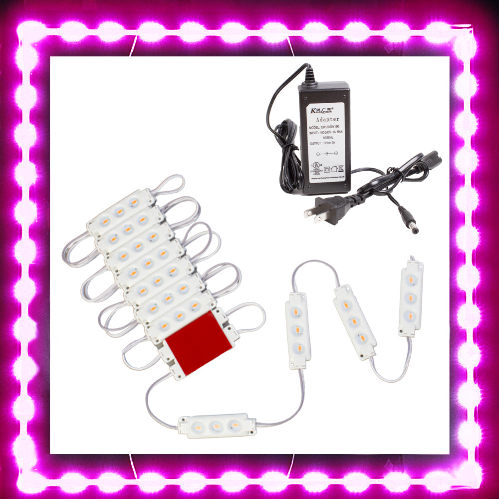 Magenta Led Module Magenta Pink S5630 Injection LED Light Modules | LEDUpdates