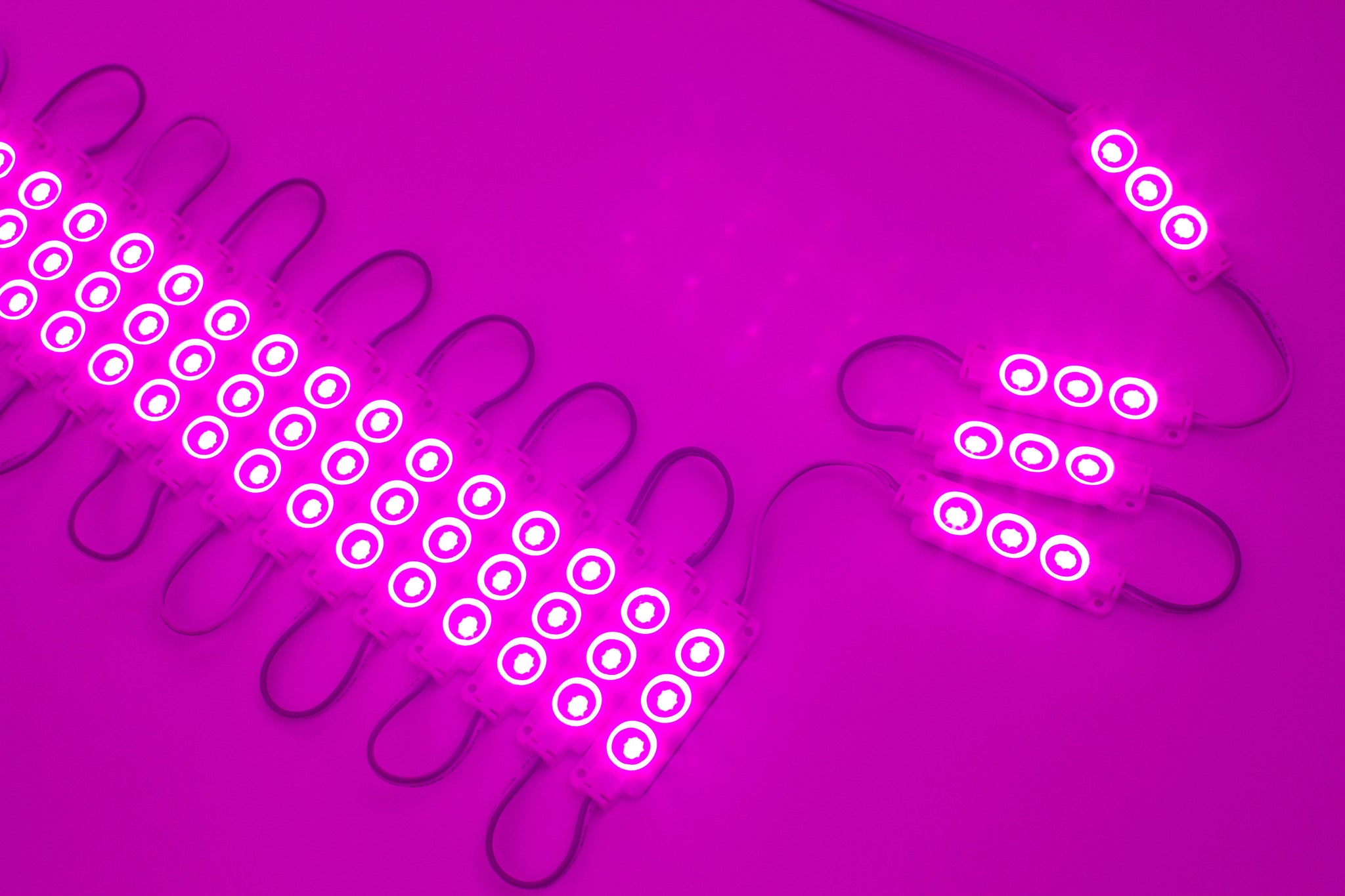 Magenta Pink S5630 Injection LED Light Modules | LEDUpdates