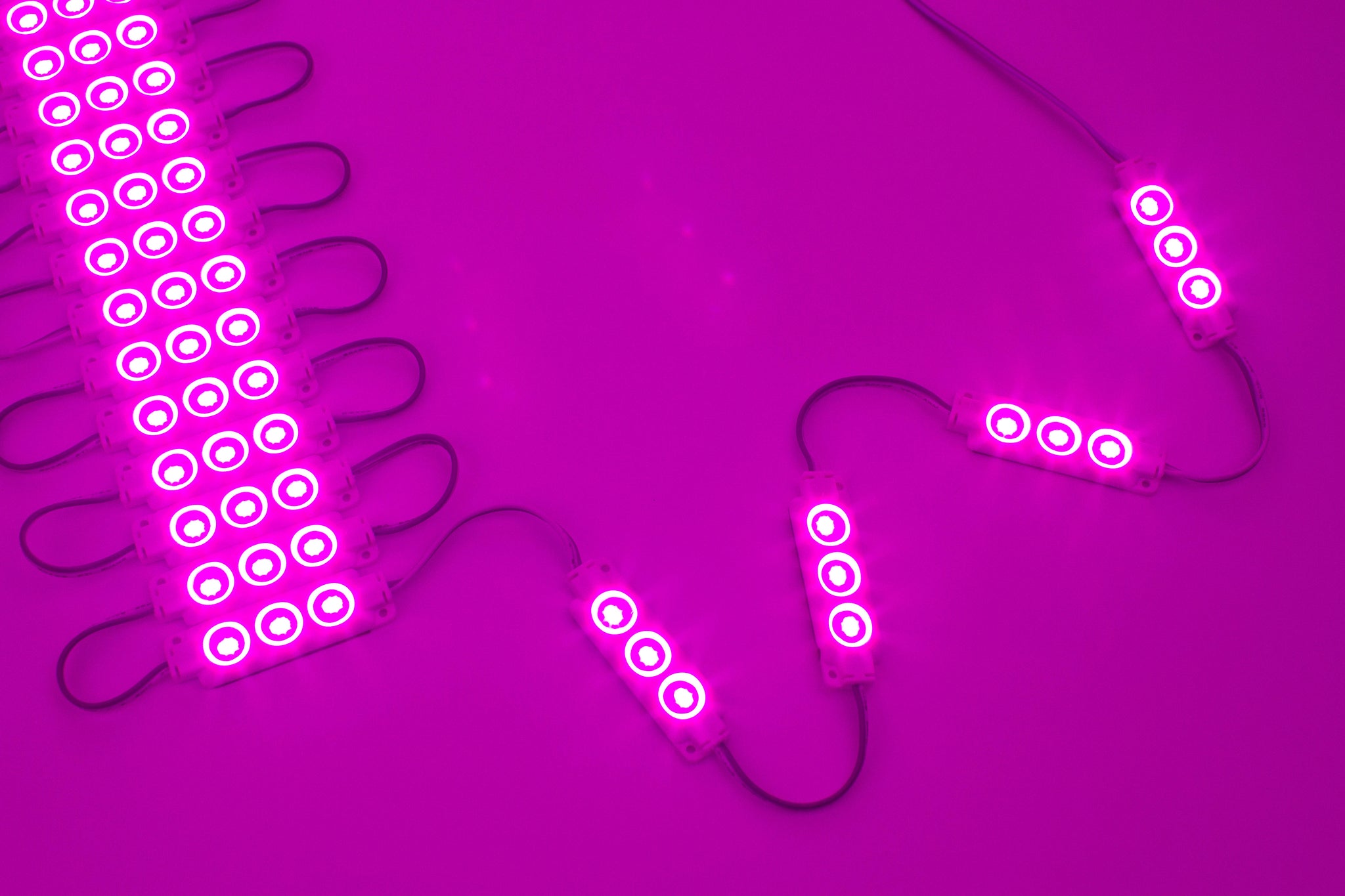Magenta Pink S5630 Injection LED Light Modules | LEDUpdates