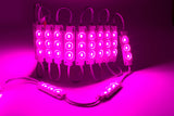 Magenta Pink Super Bright S5630 series LED Light Modules