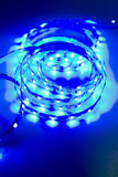12v S Shape Blue color 2835 LED strip light - LED Updates