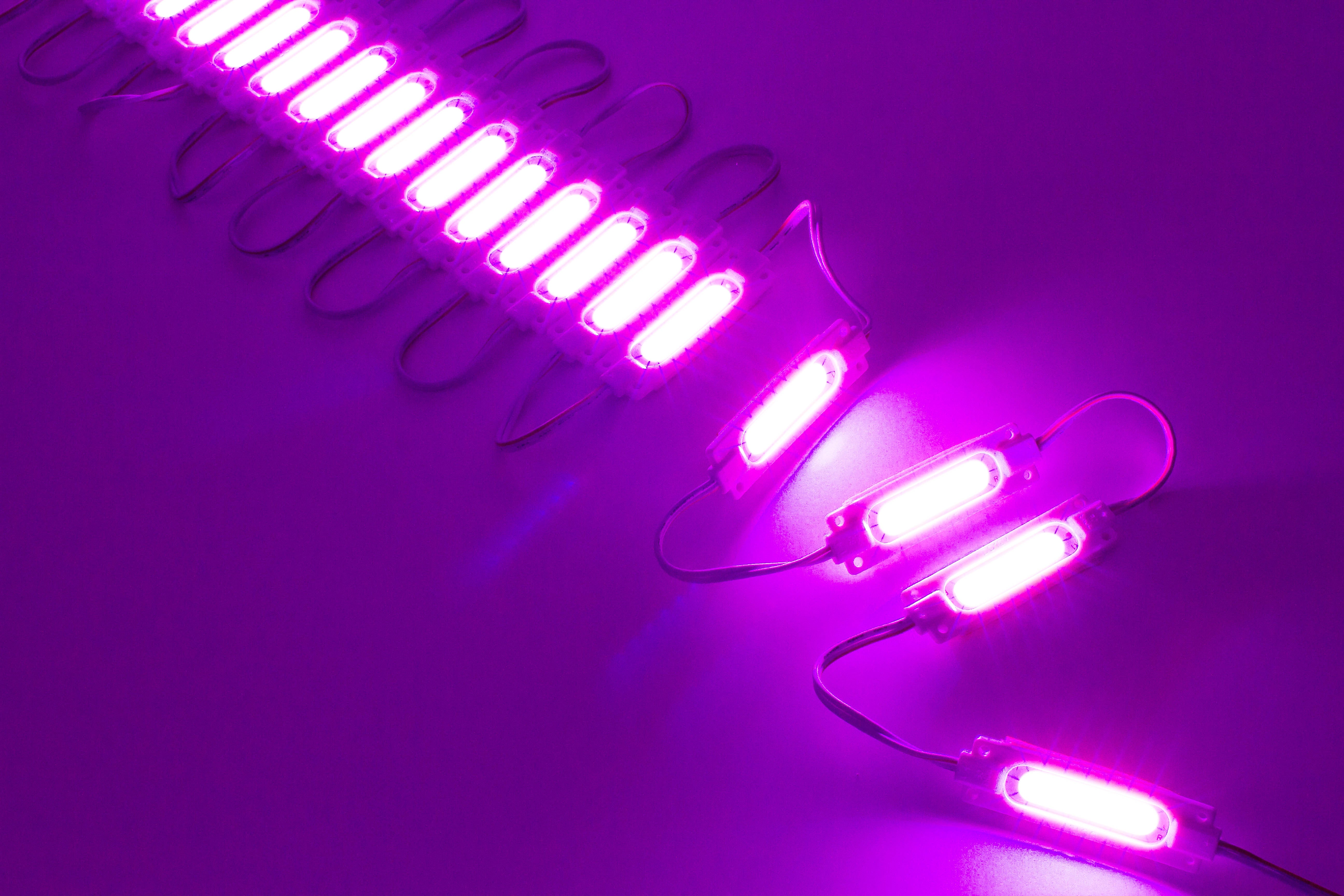Pink Ultra COB series LED Light Modules - LED Updates