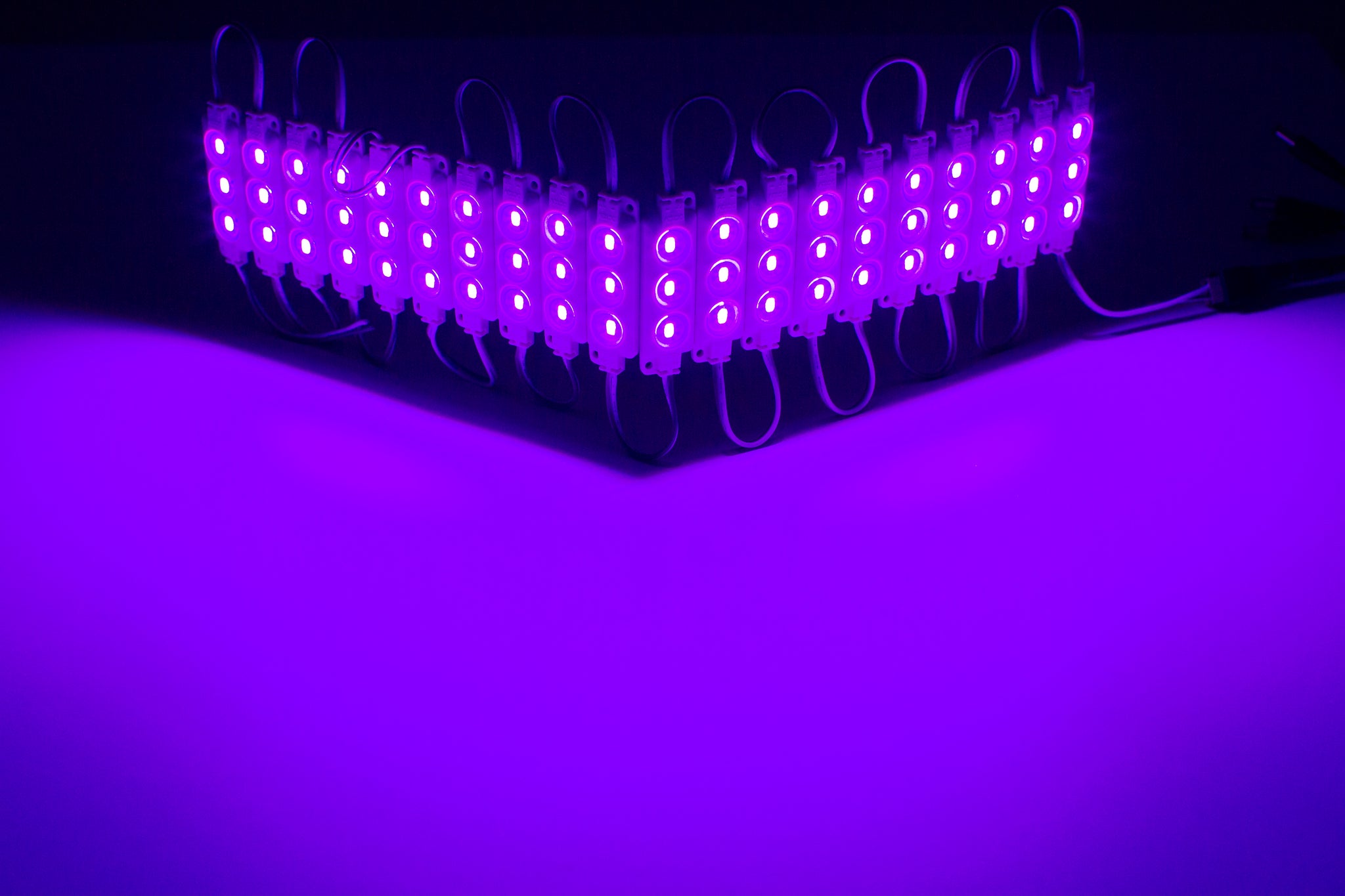 Purpled Led Purple Storefront Super Bright 5630 series LED Light Modules | LEDUpdates