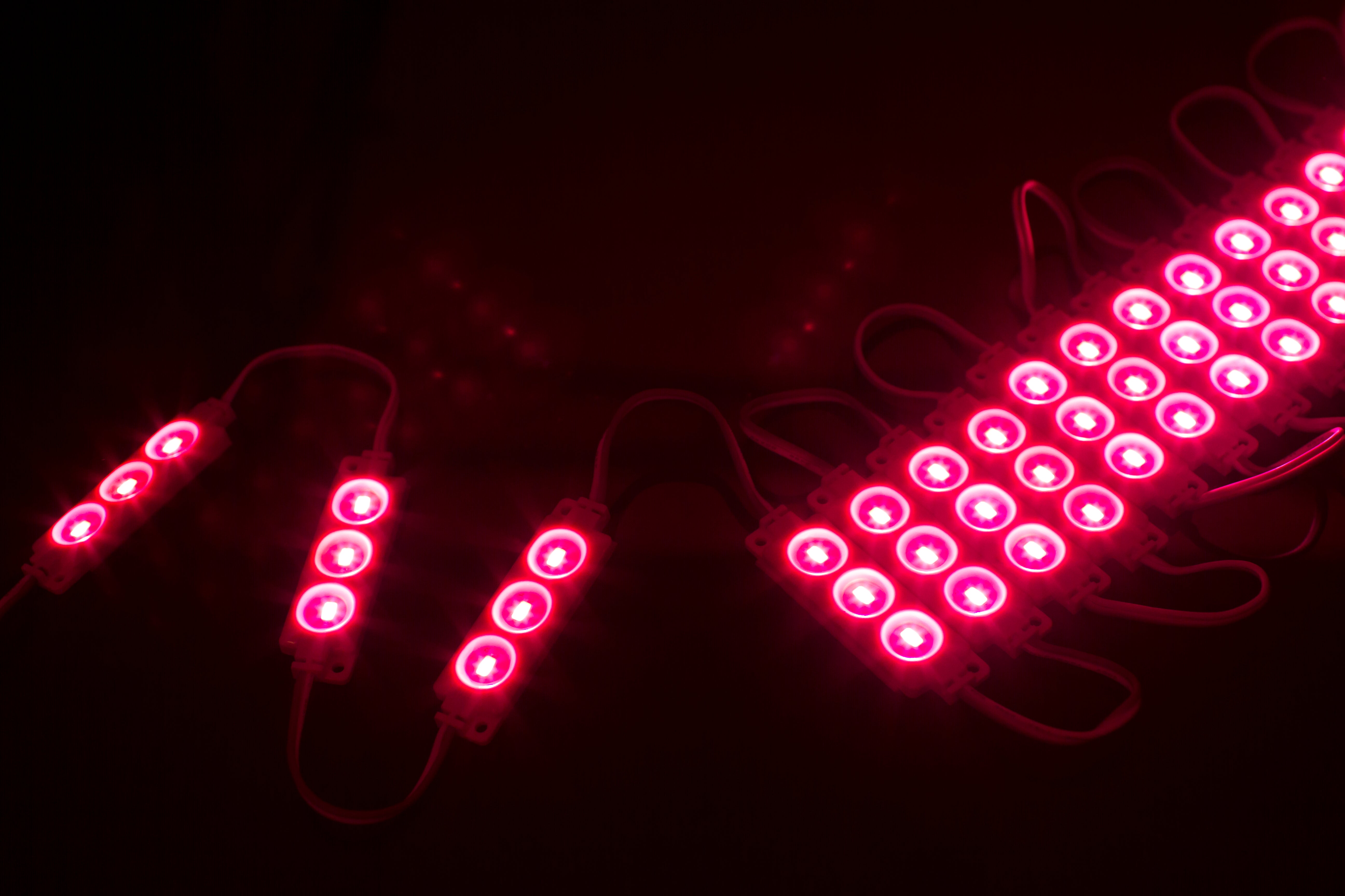 Magenta Storefront Super Bright 5630 series LED Light Modules | LEDUpdates