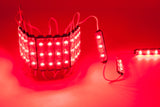 Storefront LED track + Red T2835 Premium Super Bright LED Light